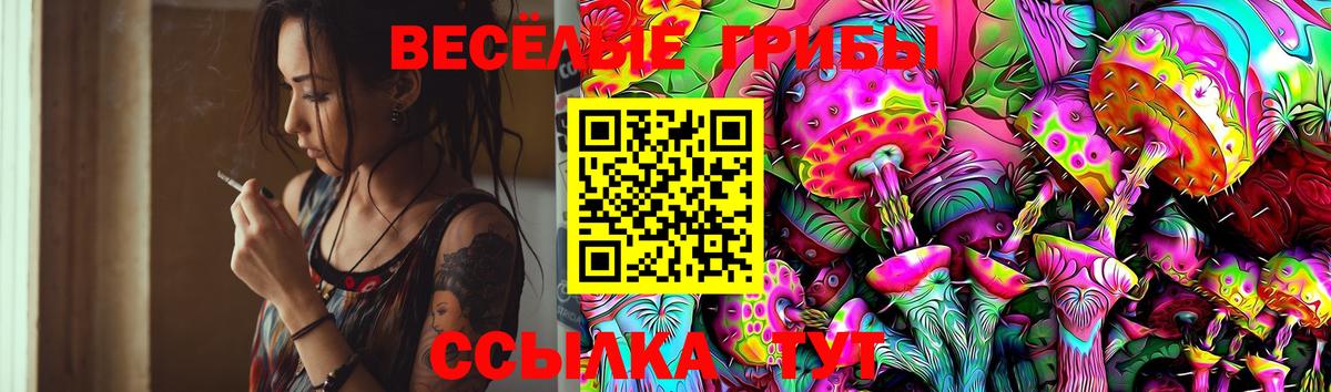 Псилоцибиновые грибы Magic Shrooms  купить наркоту  Камень-на-Оби  Вход с VPN  Псилоцибиновые грибы Psilocybine cubensis 